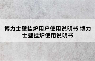 博力士壁挂炉用户使用说明书 博力士壁挂炉使用说明书